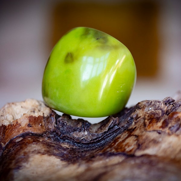 Natural Tagua Rings