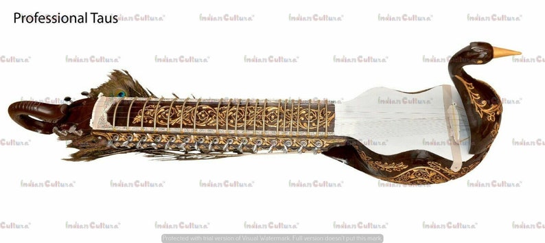 Professional Quality Mayuri Veena Peacock Shaped Body Musical Instrument Taus South Indian veena Traditional veena Melodic strings image 1