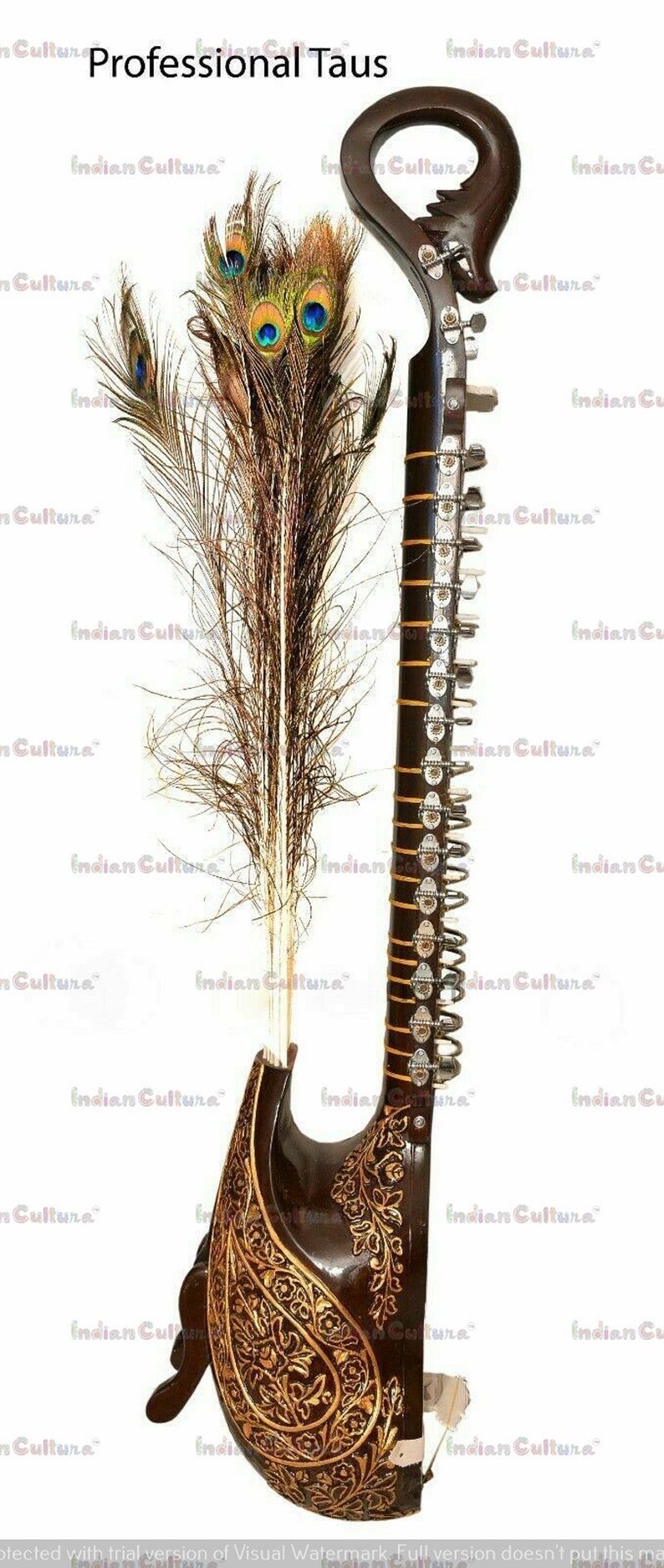 Professional Mayuri Veena Peacock Shaped Body Instrument Taus With Fiber Case Musician gift Decorative veena Exotic instrument Carved veena image 6