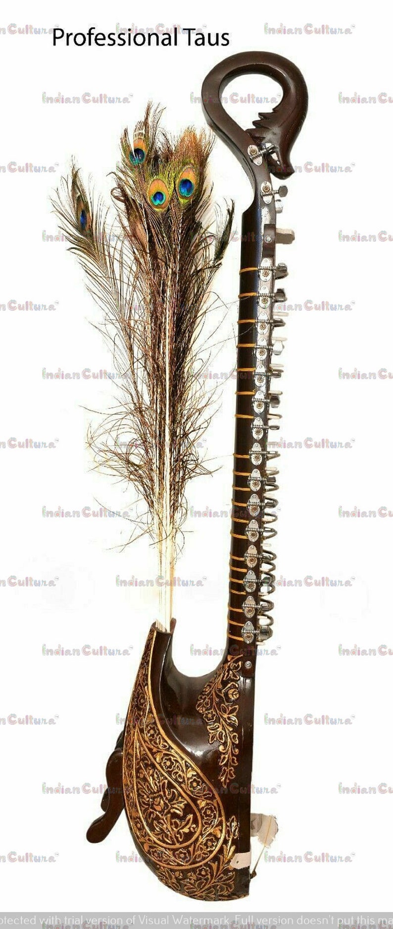 Professional Quality Mayuri Veena Peacock Shaped Body Musical Instrument Taus South Indian veena Traditional veena Melodic strings image 5