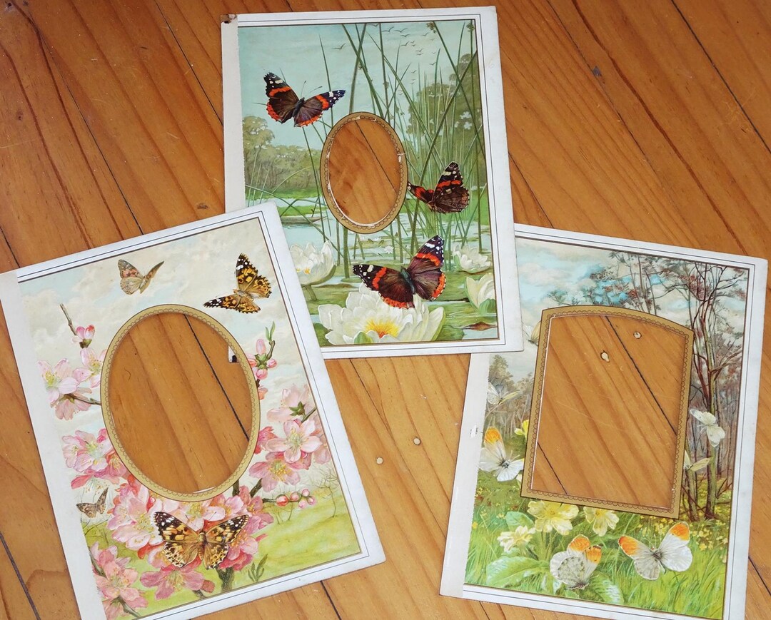 1903 Beautiful Antique Butterfly Photo Frames / 3 Different / - Etsy
