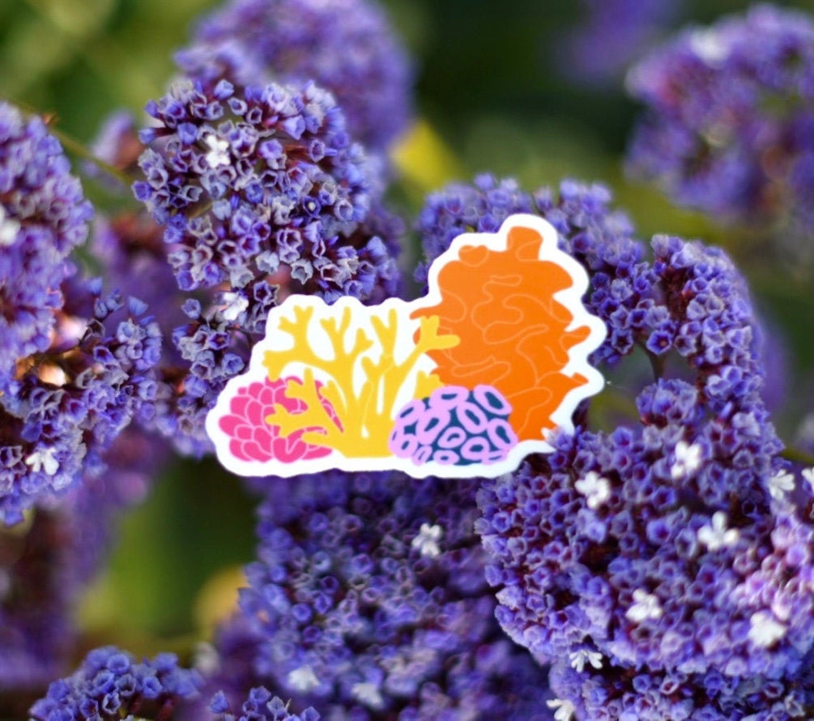 Coral Reef Sticker Vinyl Decal Vinyl Sticker Car Decal | Etsy