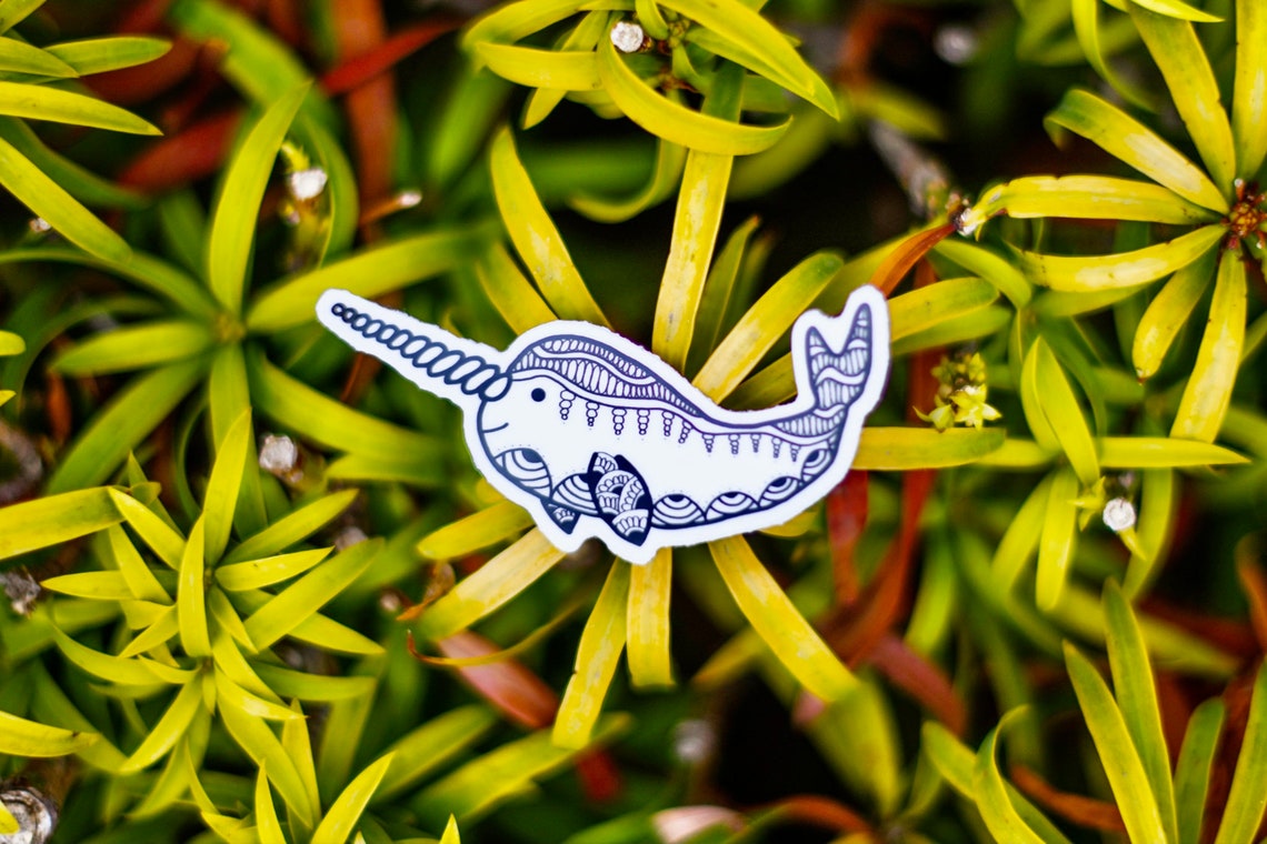 Narwhal Sticker Vinyl Decal Vinyl Sticker Car Decal Etsy