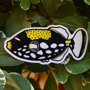 May include: A black and white fish sticker with yellow accents. The fish has a round body with white spots and a yellow stripe around its eye. The fish has a black tail and fins.