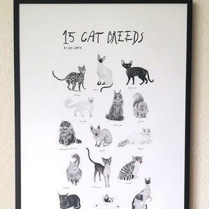 15 Cat Breeds Art print Cat breed Poster Pencil Illustration Animal print wall decor