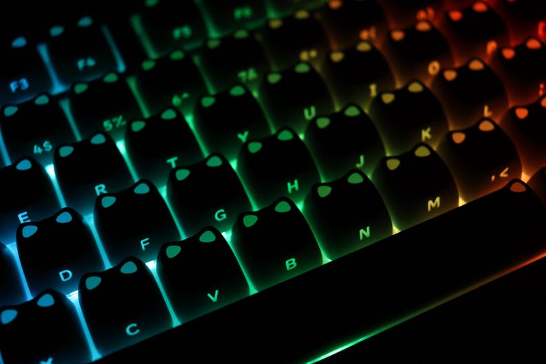 May include: Close-up of a backlit mechanical keyboard with black keycaps. The keys are illuminated with a gradient of colors, transitioning from blue to green and orange. The keycaps have a unique cat-ear design.