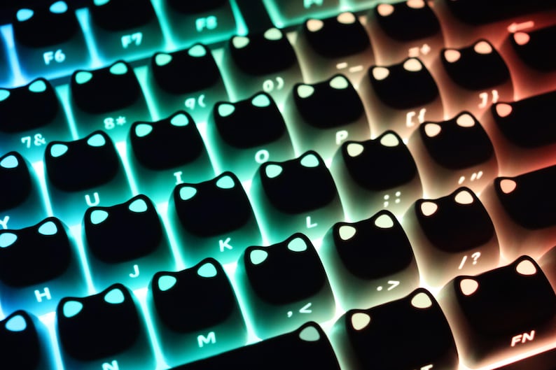 May include: Close-up of a mechanical keyboard with black keycaps shaped like cat faces. The keys are backlit with a gradient of colors, transitioning from blue to orange. The keyboard layout is visible, with letters and symbols.