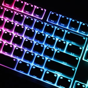 May include: A close-up of a mechanical keyboard with black keycaps. The keyboard is illuminated with a gradient of colors, transitioning from pink to blue and green. The keycaps have a cat-ear design.