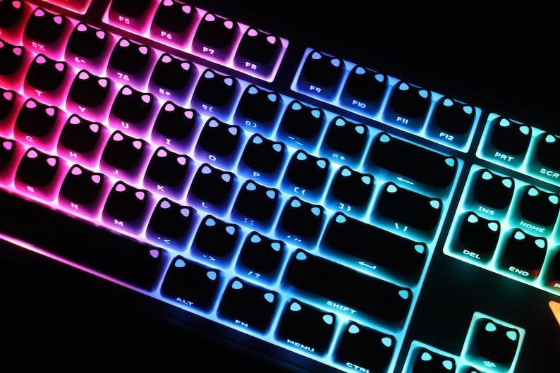 May include: A close-up of a mechanical keyboard with black keycaps. The keyboard is illuminated with a gradient of colors, transitioning from pink to blue and green. The keycaps have a cat-ear design.