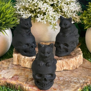 Obsidian Skull with Kitty