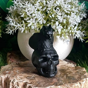 Obsidian Skull with Dragon