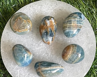 Piedra de palma de calcita acuatina lemuriana