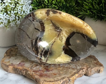 Tazón de huevos septarianos