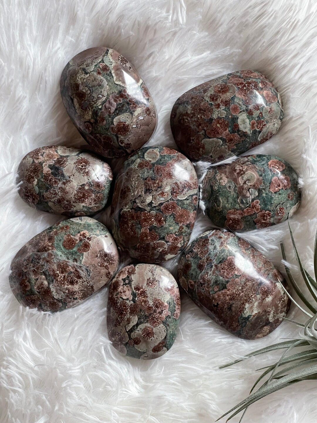 Rhyolite Green Flower Jasper Palm Stone - Etsy