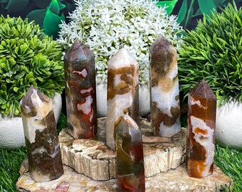 May include: A collection of six agate crystal points, each with a unique pattern of brown, white, and red. The points are arranged on a slice of petrified wood.