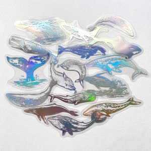 Set de 15 stickers holographiques Baleines