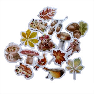 Set de 15 mini stickers autocollants forêt enchantée