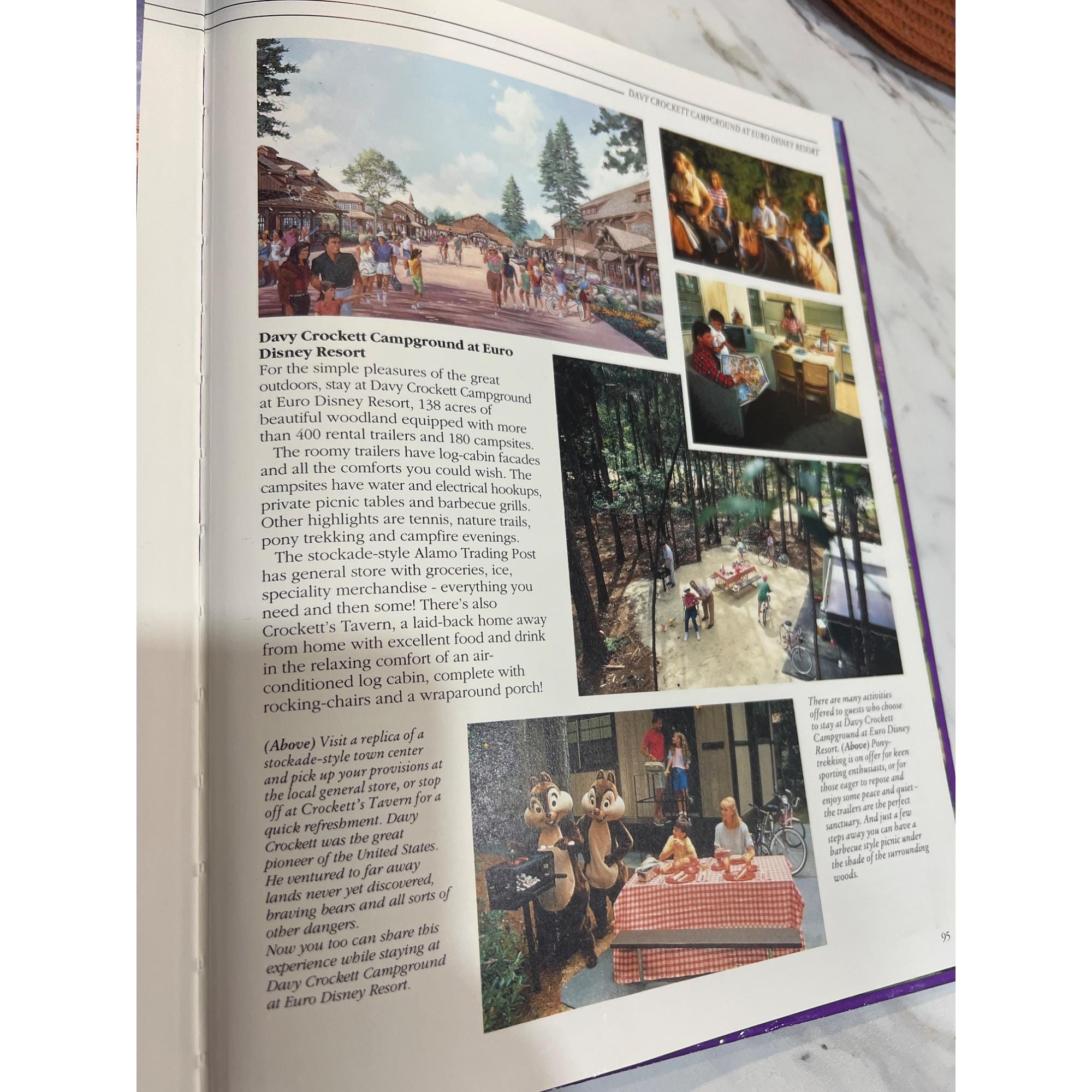 Euro Disney Hardcover Book Walt Disney History & Theme Parks
