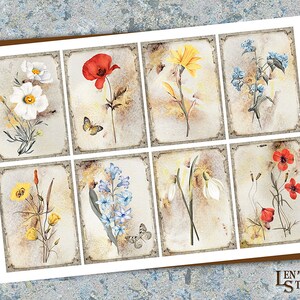 May include: A set of nine vintage-style floral illustrations featuring various flowers, including poppies, sunflowers, and snowdrops. Each illustration is framed with a distressed, brown border and set against a textured background.