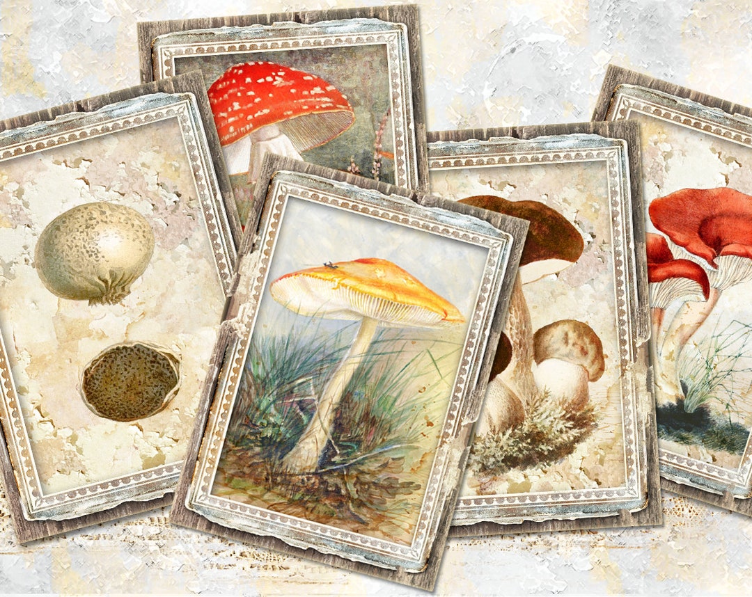 Mushroom Digital Ephemera, ATC Printable Journaling Cards, Vintage ...