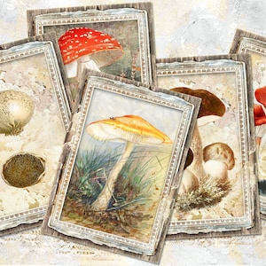 Éphémères numériques champignons, cartes de journalisation imprimables ATC, images vintage de champignons, ATC botanique, éphémères de forêt, éphémères de journal nature