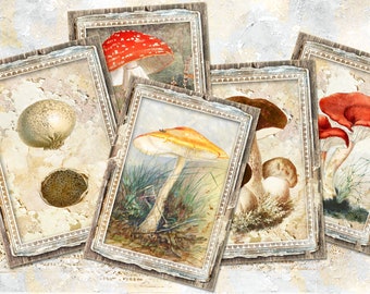 Mushroom Digital Ephemera, ATC Printable Journaling Cards, Vintage Mushroom Images, Botanical ATC, Forest Ephemera, Nature Journal Ephemera