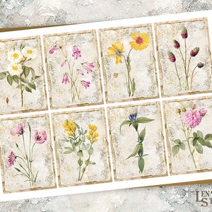 May include: A set of eight vintage-style botanical illustrations featuring various flowers and plants. The illustrations are in a muted colour palette and have a distressed, antique look. The flowers include a white rose, pink bells, yellow wildflowers, purple thistle, pink carnations, yellow wildflowers, blue gentian, and a pink rose.