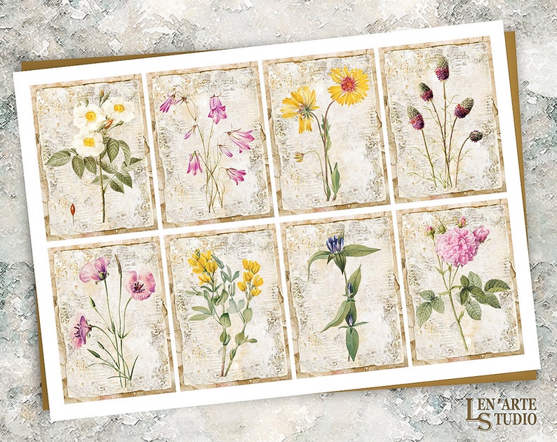 May include: A set of eight vintage-style botanical illustrations featuring various flowers and plants. The illustrations are in a muted colour palette and have a distressed, antique look. The flowers include a white rose, pink bells, yellow wildflowers, purple thistle, pink carnations, yellow wildflowers, blue gentian, and a pink rose.
