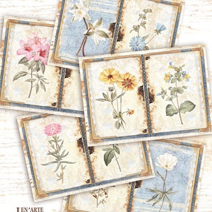 May include: Six vintage-style cards featuring floral illustrations. Each card showcases a different flower, including a white flower, a pink flower, a yellow flower, a blue flower, a pink flower, and a white flower. The cards are adorned with lace and have a distressed appearance.