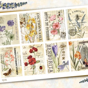 May include: A set of nine vintage-style botanical illustrations featuring various flowers, insects, and text in French. The illustrations are printed on a cream-colored background with a distressed, aged look.