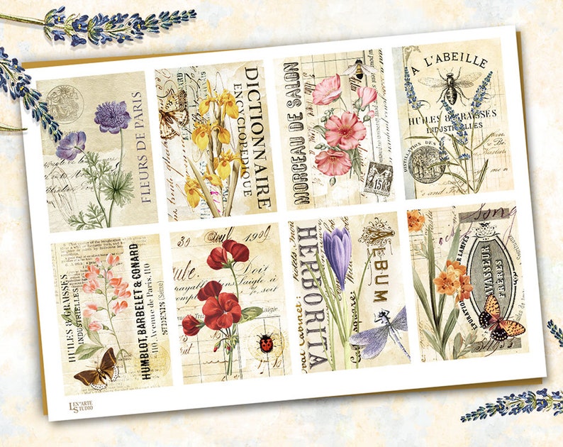 May include: A set of nine vintage-style botanical illustrations featuring various flowers, insects, and text in French. The illustrations are printed on a cream-colored background with a distressed, aged look.