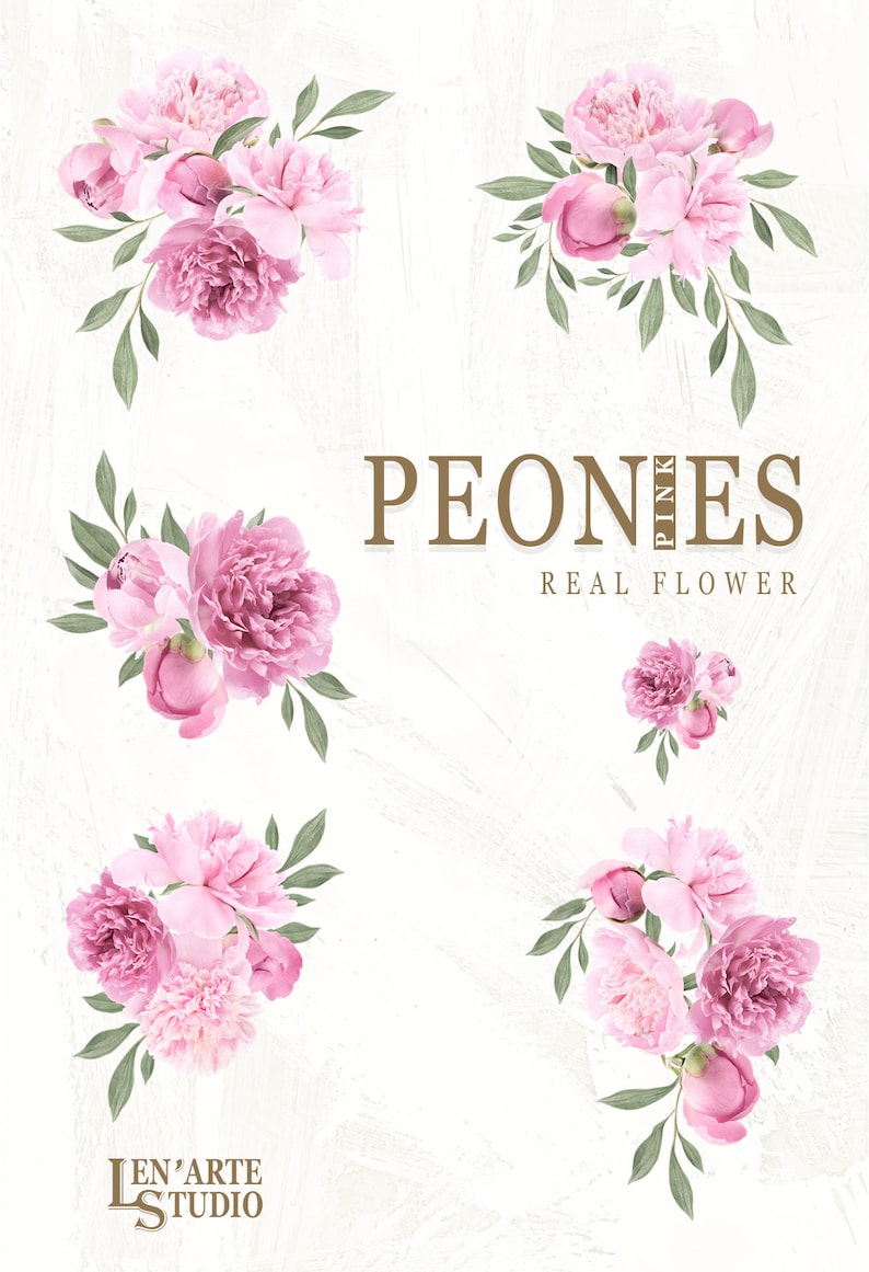 Pu&ograve; includere: Cinque composizioni di peonie rosa con foglie verdi su uno sfondo bianco. Il testo "PEONIES PINK REAL FLOWER" &egrave; al centro dell'immagine.
