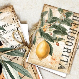 ATC Vintage Fruits Botanical Card Set, Printable Collage Sheet Download, Botanical Journal Cards ATC, Blackberries, Fruit Ephemera, Nature