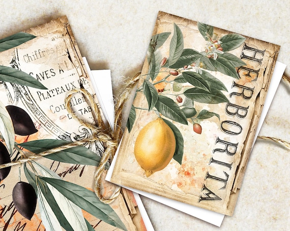 ATC Vintage Fruits Botanical Card Set, Printable Collage Sheet Download, Botanical Journal Cards ATC, Blackberries, Fruit Ephemera, Nature