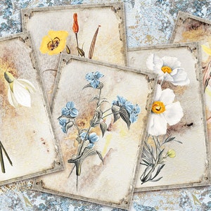 Ensemble de cartes botaniques de printemps, cartes florales numériques ATC, ATC botanique imprimable, feuille de collage numérique, éphéméride, plante numérique, jardin, nature