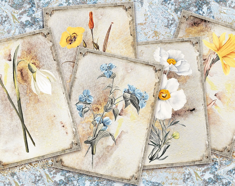 May include: Five vintage-style cards with floral illustrations. Each card features a different flower, including a yellow flower, a white flower, a blue flower, a white flower with a yellow center, and a yellow flower with a white center. The cards are arranged in a staggered pattern and have a distressed, aged look.