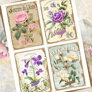 May include: Four vintage botanical illustrations featuring different flowers. The top left image shows a pink rose with the text "Sourire de L'Ange". The top right image shows a purple rose with the text "38 Light & Truth Thing Co.". The bottom left image shows purple violets with the text "Illustrations Himalayan Violet". The bottom right image shows white roses with the text "City Atlas of New York 1882".