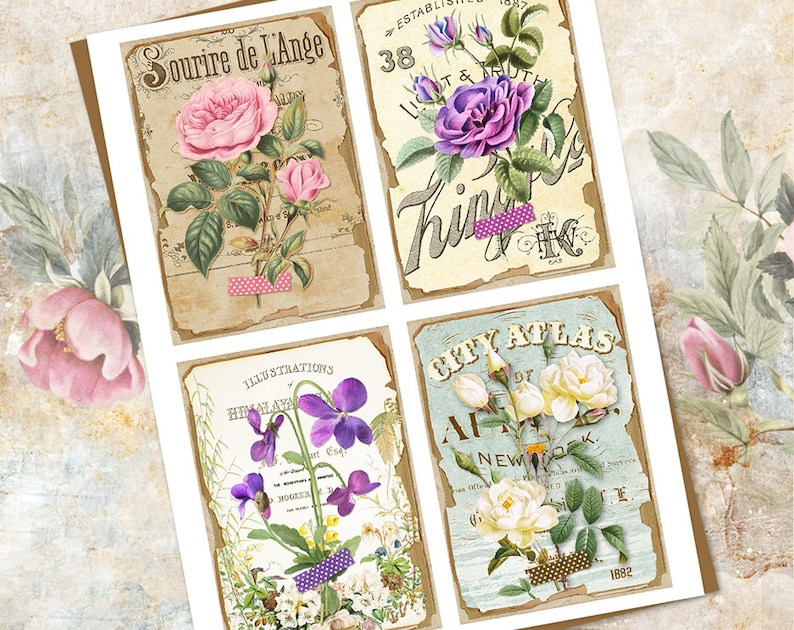 May include: Four vintage botanical illustrations featuring different flowers. The top left image shows a pink rose with the text "Sourire de L'Ange". The top right image shows a purple rose with the text "38 Light & Truth Thing Co.". The bottom left image shows purple violets with the text "Illustrations Himalayan Violet". The bottom right image shows white roses with the text "City Atlas of New York 1882".