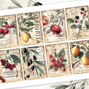 May include: A digital collage sheet with nine squares featuring vintage illustrations of fruit and berries, including strawberries, cherries, pomegranates, lemons, pears, and blackberries. The images are set against a background of old paper with text and numbers.