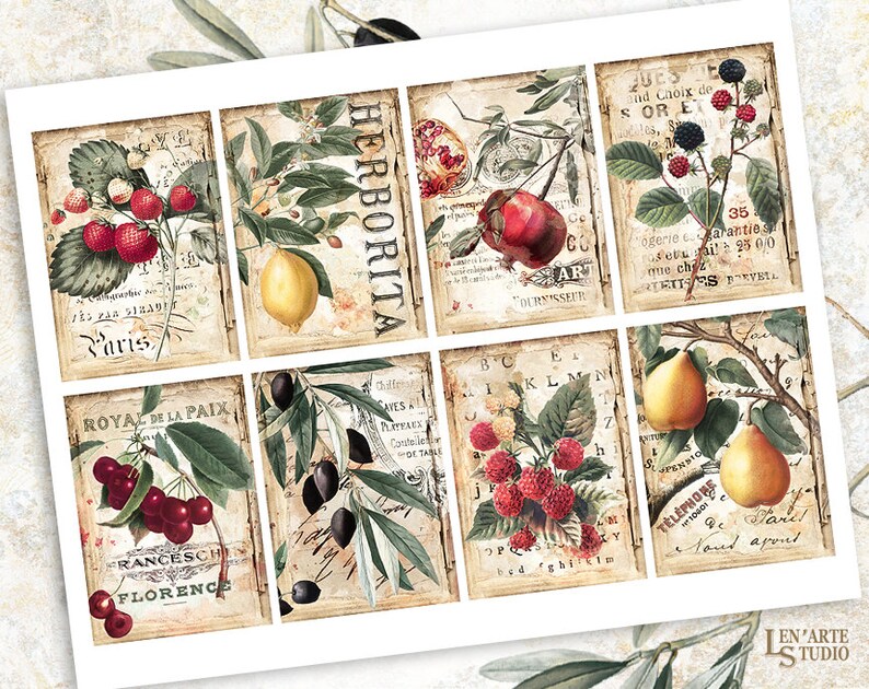 May include: A digital collage sheet with nine squares featuring vintage illustrations of fruit and berries, including strawberries, cherries, pomegranates, lemons, pears, and blackberries. The images are set against a background of old paper with text and numbers.