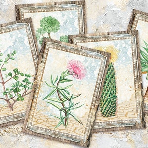 Jeu de cartes de journal succulentes, cartes numériques cactus ATC, ATC botanique imprimable, feuille de collage cactus, éphémères, cactus du désert ATC, plante, jardin