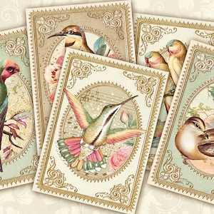 Tarjetas ATC de pájaros antiguos, efímeras imprimibles para diario basura, imágenes de pájaros, suministros para diario de pájaros silvestres, juego de tarjetas vintage de pájaros, tarjetas digitales ACEO