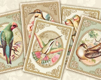 Vintage Birds ATC Cards, Junk Journal Printable Ephemera, Birds Image, Wildbirds Journal Supplies, Birds Vintage Card Set,ACEO Digital Cards