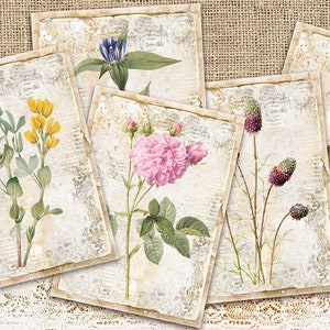 jeu de cartes botaniques vintage, cartes florales numériques ATC, ATC botanique imprimable, feuille de collage numérique, éphémères, plante, jardin, nature, téléchargement