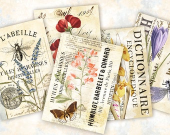 Floral Botanical Card Set, Vintage ATC Cards, Printable Ephemera, Journal Ephemera, Digital Collage Sheet, Plant, Garden, ACEO Digital Cards