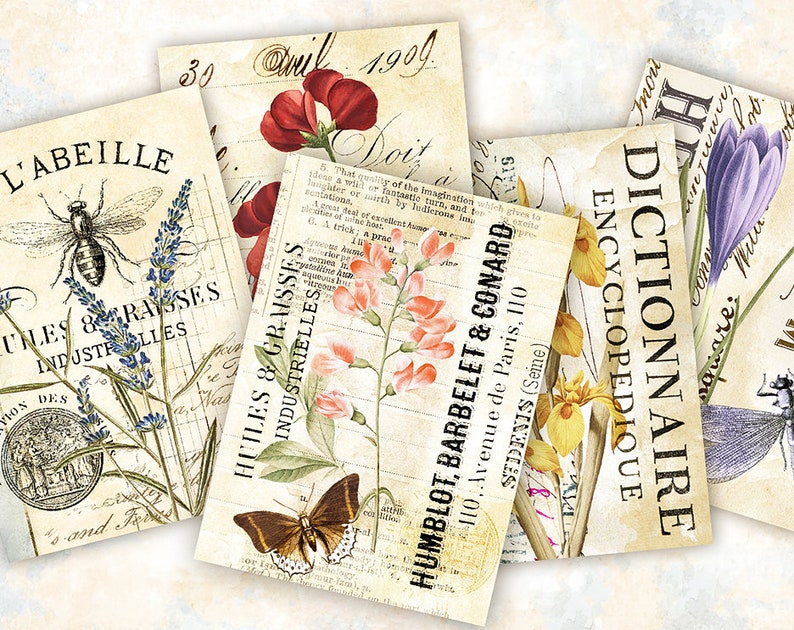 May include: Five vintage botanical illustrations with floral and insect motifs. The illustrations feature a bee, lavender, butterfly, crocus, and iris. The illustrations are printed on a cream-colored background with text in French and English.