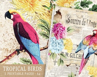 Junk Journal Printable Kit, Bird Digital Collage Sheet, Scrapbooking Antique Papers, Tropical Birds Vintage Papers, Parrots Printable Papers