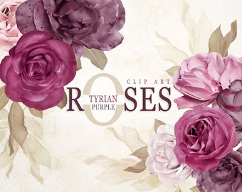 Digital Roses Clip Art, Tyrian Purple Roses Bouquet Clipart, Real Flower Clip Art, Floral Clipart, Floral Arrangement, Flowers DIY, Roses PNG