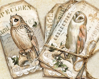 Vintage Owl Journal Ephemera, Vintage Owl Journal Tags, Owl Cards, Owl Printable,Vintage Birds Cards, Owl Image,Junk Journal Cards, Bird Tag