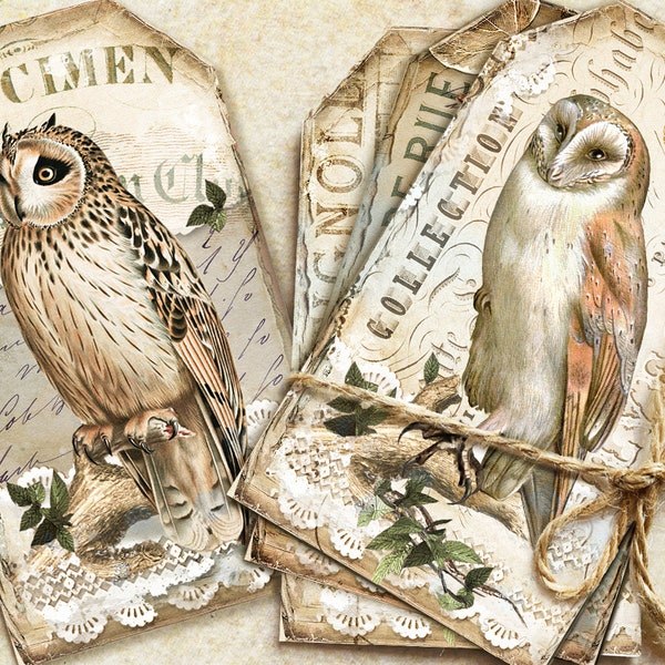 Vintage Owl Journal Ephemera, Vintage Owl Journal Tags, Owl Cards, Owl Printable,Vintage Birds Cards, Owl Image,Junk Journal Cards, Bird Tag